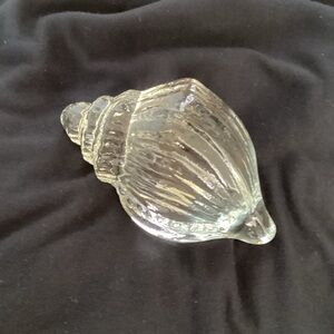 Omnibus Glass Conch Shell